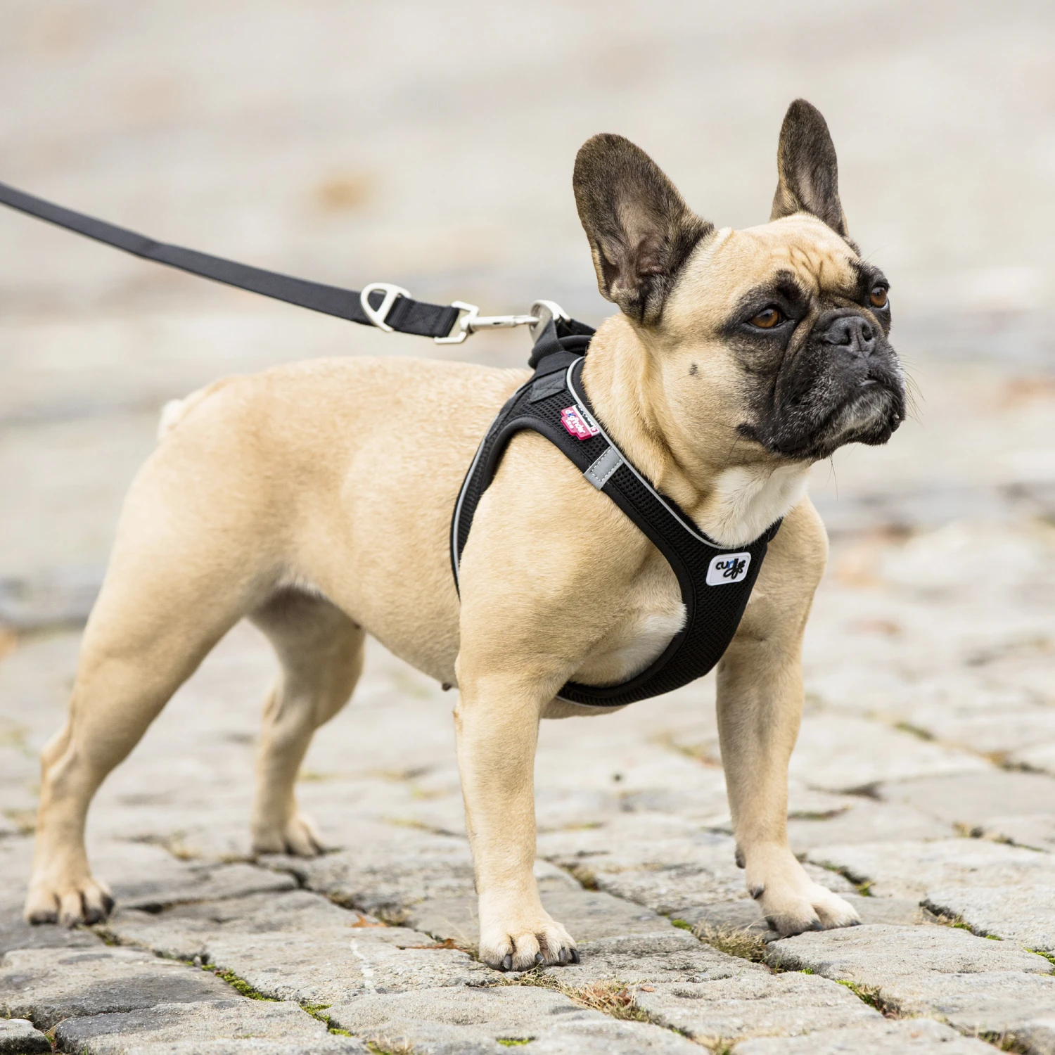 Curli Vest Geschirr Magnetic 7 Curli Vest Geschirr Magnetic – Bild 5