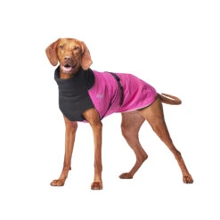 Chilly Dogs Great White North Broad & Burly (extra Breit) -Wuff Wohnen Verkäufe 100 21 BG20Lead20In20STOCK20Vizsla