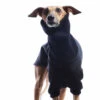 DG DogGear Basic Winter Sweatshirt - L1 - Schwarz -Wuff Wohnen Verkäufe 1116454b2068934a1e6a215c4b8e149d