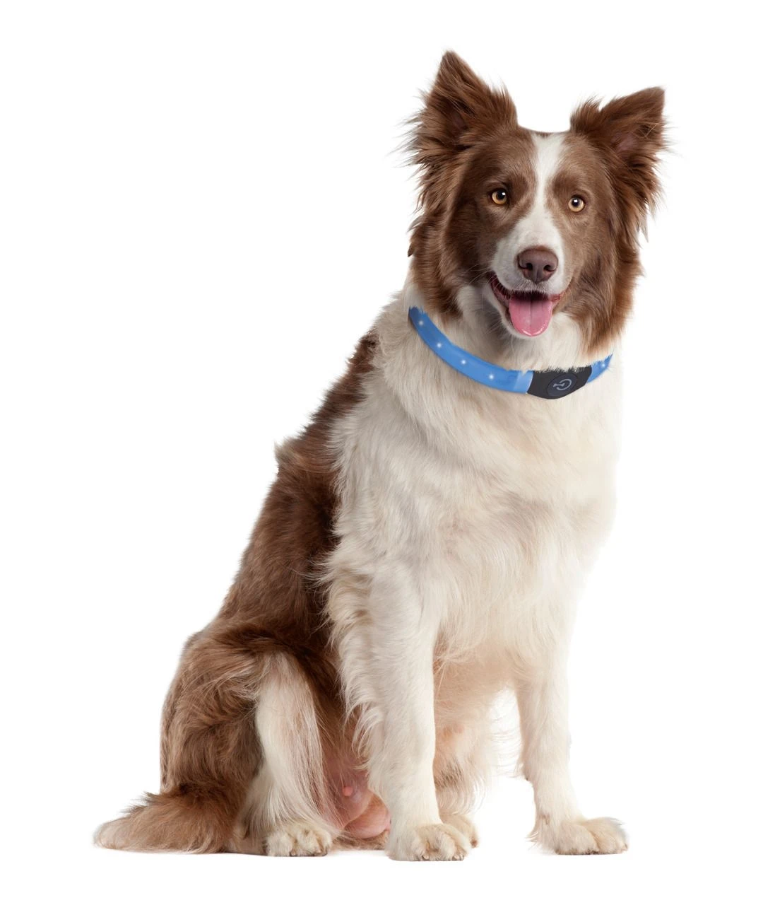 Karlie Visio Light LED-Halsband Langhaar 65cm X 2,5cm 6 Karlie Visio Light LED-Halsband Langhaar 65cm X 2,5cm – Bild 4