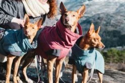 Hurtta Expedition Wintermantel, Rot -Wuff Wohnen Verkäufe 11b4d823ef8370dd22c93bc2211fabd7