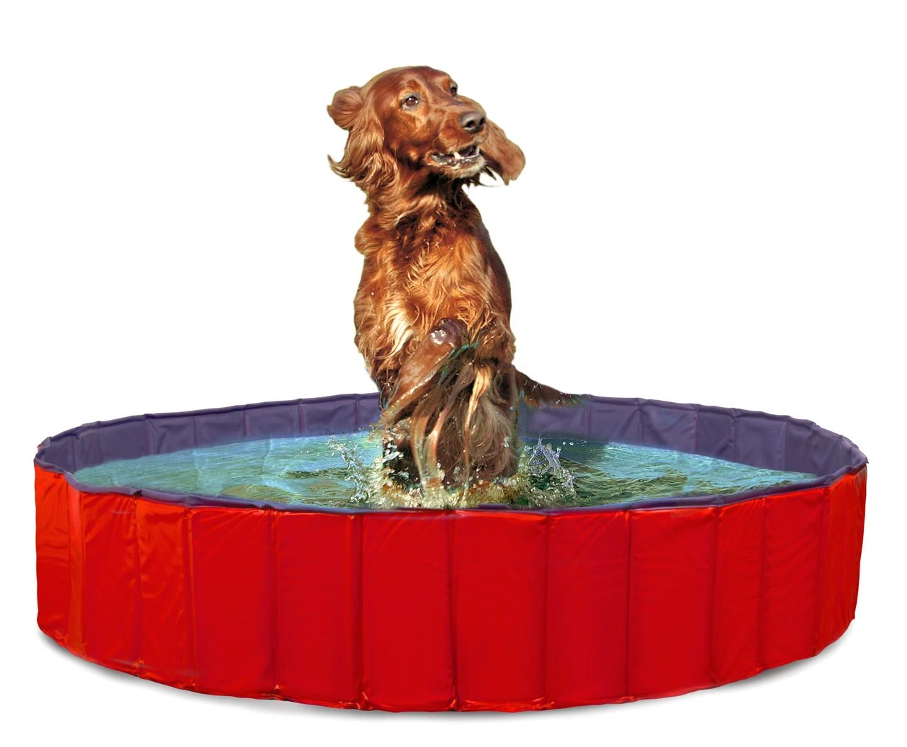 Karlie Doggy Pool Blau/rot 3 Karlie Doggy Pool Blau/rot