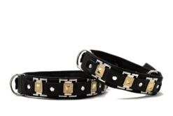 Maul Halsband Texas