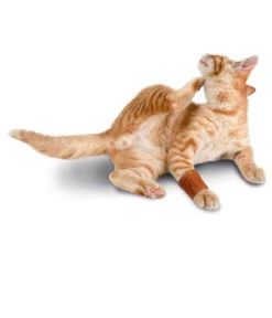 Padamed Anti-Lick-Strip Pflaster 6er Klein