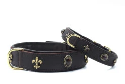 Maul Halsband San Francisco