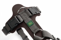 Hunter Geschirr Aalborg Mixed Leder/Nylon 8 Hunter Geschirr Aalborg Mixed Leder/Nylon -Wuff Wohnen Verkäufe 17447scr 5f1b9791b3884d0