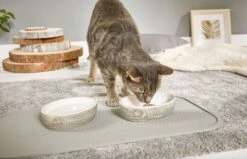 Wolters Napfunterlage Rainbow 65 X 35cm -Wuff Wohnen Verkäufe 18101M 1 napfunterlage rainbow 1920x1920