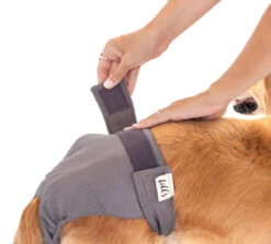 Lill's Läufigkeitshöschen Aus Bio-Baumwolle Lou Amber -Wuff Wohnen Verkäufe 20220826 Lills 015 v3 Shop 1