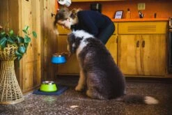 Ruffwear Basecamp Mat Twilight Gray One Size -Wuff Wohnen Verkäufe 2080 Basecamp Mat 3 1800x1024