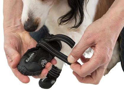 Trixie Pfotenschutz Walker Active, Schwarz 6 Trixie Pfotenschutz Walker Active, Schwarz – Bild 4