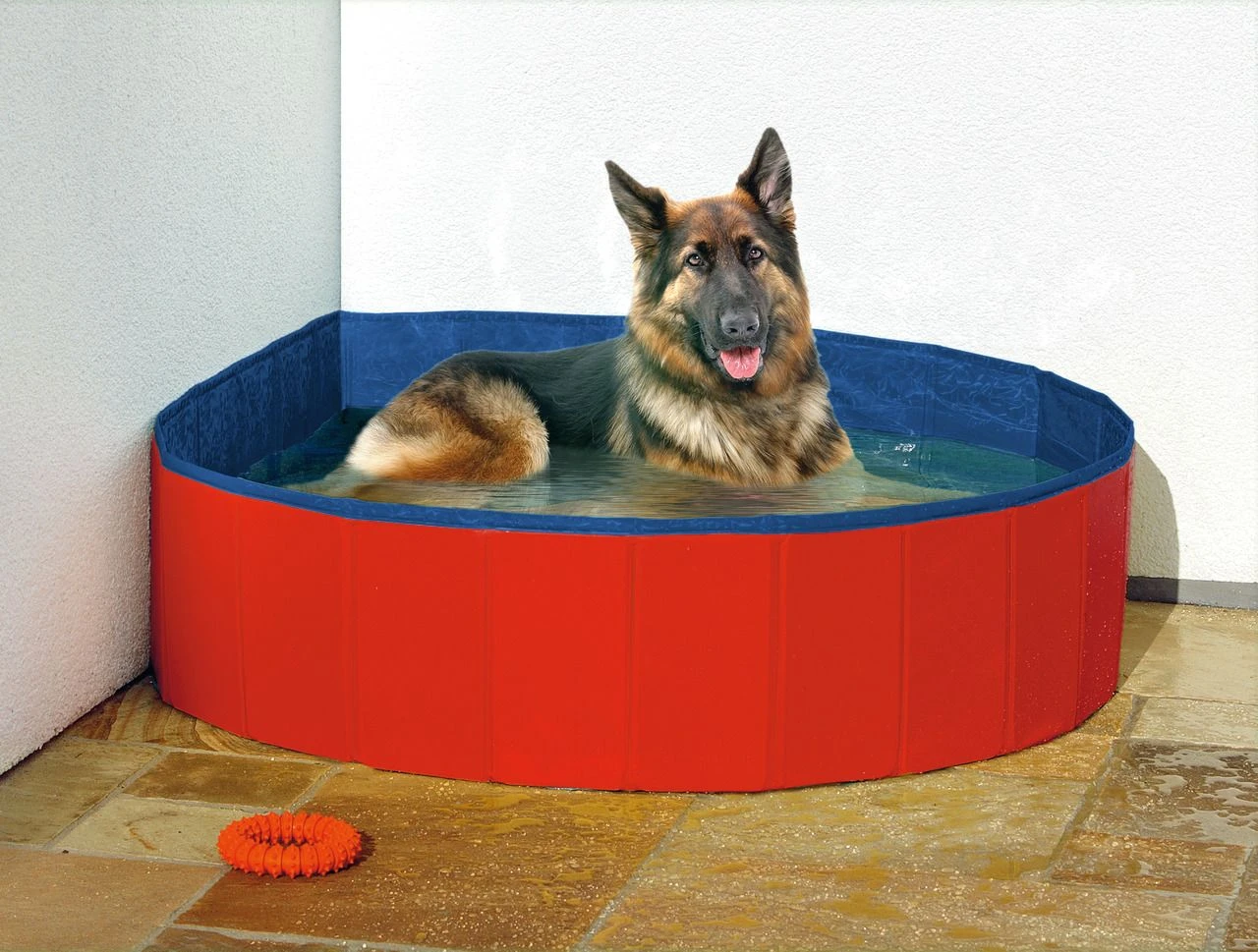 Karlie Doggy Pool Blau/rot 4 Karlie Doggy Pool Blau/rot – Bild 2