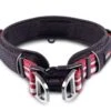 Wolters Halsband Active Pro -Wuff Wohnen Verkäufe 28001 1 rot schwarz active pro halsband rot schwarz 1920x1920