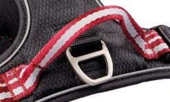 Wolters Geschirr Active Pro -Wuff Wohnen Verkäufe 28036 4 active pro geschirr.web 1920x1920