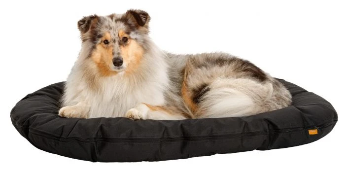 Karlie Hundekissen Dream Oval 3 Karlie Hundekissen Dream Oval