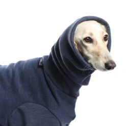 DG DogGear Basic Winter Sweatshirt - L1 - Schwarz -Wuff Wohnen Verkäufe 2d5aee0c3df4d8697742f38c22f630ed