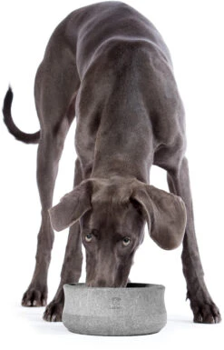 Laboni Napf Rocky Stone -Wuff Wohnen Verkäufe 30010 3