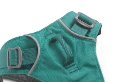 Ruffwear Flagline Harness Meltwater Teal -Wuff Wohnen Verkäufe 3055 Flagline Harness Meltwater Teal Chest Attachment WEB 2fc7690f 1d3e 4ed4 8eee 9f7424d455d7 1024x1024