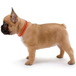 Hunter Halsung Safety Grip Vario Basic, Nylon 5 Hunter Halsung Safety Grip Vario Basic, Nylon -Wuff Wohnen Verkäufe 42215 image