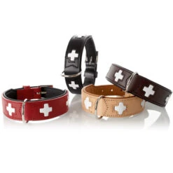Hunter Halsband Swiss, Leder -Wuff Wohnen Verkäufe 42825 Swiss Alle