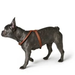 Hunter Geschirr Round & Soft Luxus Elk Petit, Leder -Wuff Wohnen Verkäufe 43542 001 image 20cog