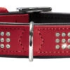Hunter Halsband Softie Triluxe, Kunstleder -Wuff Wohnen Verkäufe 47800 round 12rot