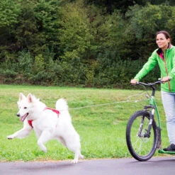 Curli Ultra Strong Pocket Leine Weiß-blau 110cm -Wuff Wohnen Verkäufe 501624 00 03