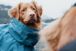 Hurtta Monsun Regenmantel, Blau -Wuff Wohnen Verkäufe 501f057e9c2b6477be632be40b0085a9