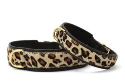 Maul Halsband Afrika