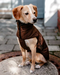 Wolters Thermosteppjacke Boston Mit RV Und Kordelzug -Wuff Wohnen Verkäufe 55201M steppjacke boston 28129