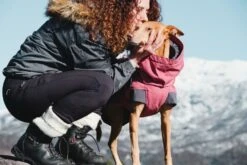 Hurtta Expedition Wintermantel, Rot -Wuff Wohnen Verkäufe 5a8e5f4bfa6d19b9eb4a8d03ea908a9b