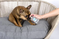 Laboni Duft-Spray Walk At The Seaside Blau 100ml 9 Laboni Duft-Spray Walk At The Seaside Blau 100ml -Wuff Wohnen Verkäufe 60001 11