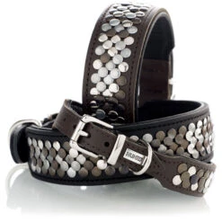 Hunter Halsband Arizona, Leder -Wuff Wohnen Verkäufe 60440 still.jpgALLE