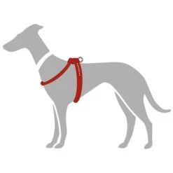 Hunter Geschirr Round & Soft Luxus Elk Petit, Leder -Wuff Wohnen Verkäufe 61469 001 grafik 20rot