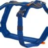 Non-stop Dogwear Line Harness, Blue -Wuff Wohnen Verkäufe 61DUvRRt66L. SL1280