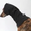 DG DogGear Soft Shell Schal - XL - Schwarz -Wuff Wohnen Verkäufe 64053edaf0120101f949016502650521