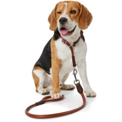 Hunter Dressurhalsung Round & Soft Cody, Bisonleder -Wuff Wohnen Verkäufe 65239 002 image 17