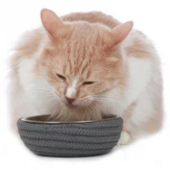 Hunter Futternapf Graz 8 Hunter Futternapf Graz -Wuff Wohnen Verkäufe 66008 002 image 18