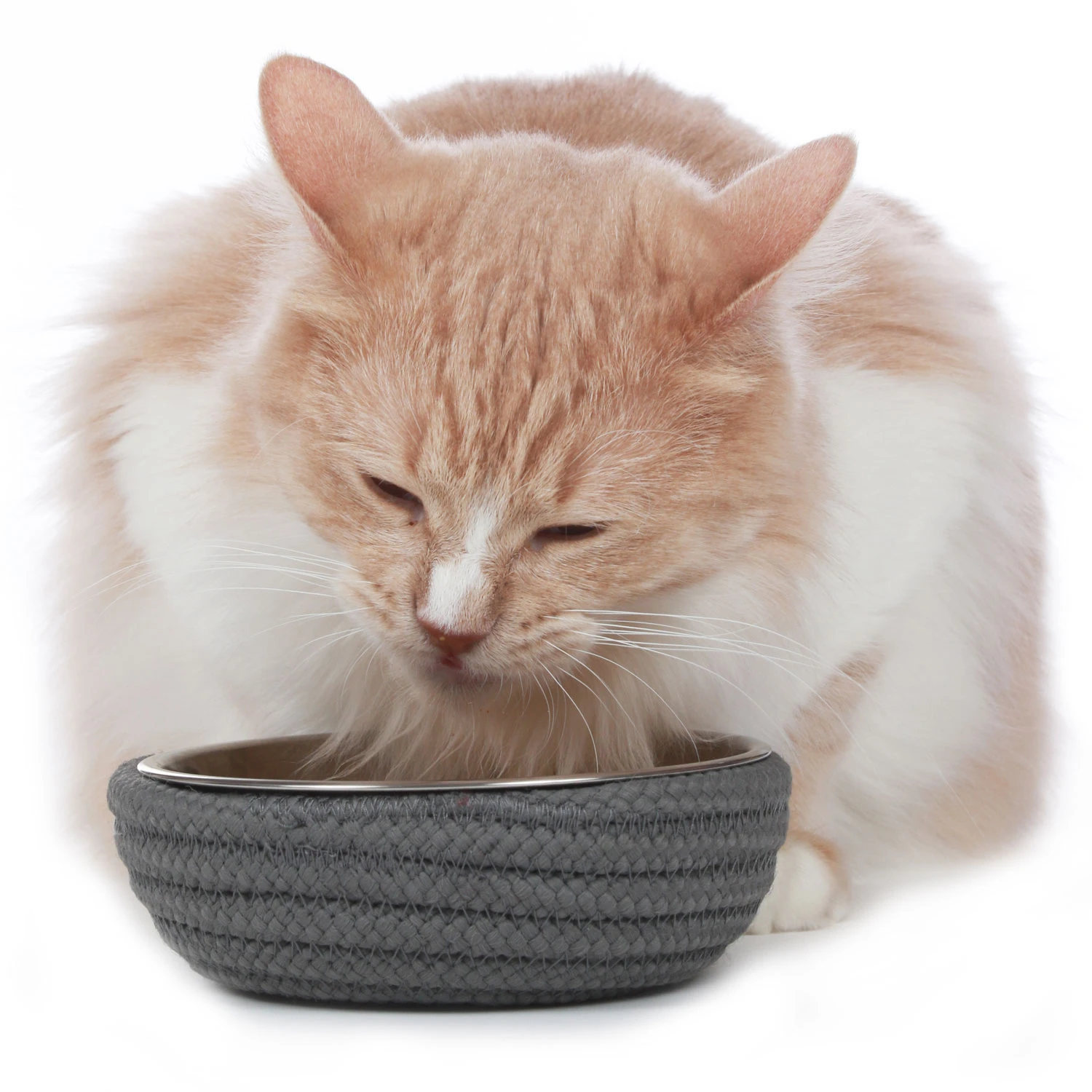 Hunter Futternapf Graz 5 Hunter Futternapf Graz – Bild 3