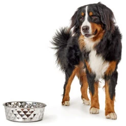 Hunter Edelstahlnapf Namy -Wuff Wohnen Verkäufe 66306 001 image 18