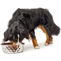 Hunter Edelstahlnapf Namy -Wuff Wohnen Verkäufe 66306 002 image 18