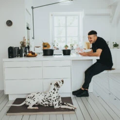 Hunter Hundematte Blackpool -Wuff Wohnen Verkäufe 66515 001 live 19