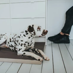 Hunter Hundematte Blackpool -Wuff Wohnen Verkäufe 66515 002 live 19