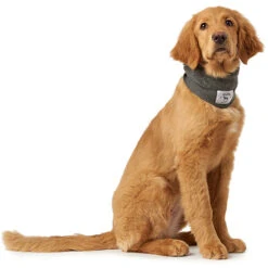 Hunter Hundeschal Nancy -Wuff Wohnen Verkäufe 66806 003 image 18