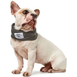 Hunter Hundeschal Nancy -Wuff Wohnen Verkäufe 66806 009 image 18