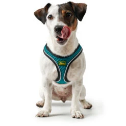 Hunter Geschirr Hilo Comfort, Mesh Mit Refl. Bise -Wuff Wohnen Verkäufe 67133 007 image 19tC3BCr