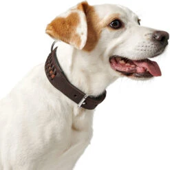 Hunter Halsband Solid Education Exclusive, Softvollrindleder 13 Hunter Halsband Solid Education Exclusive, Softvollrindleder -Wuff Wohnen Verkäufe 67234 002 image 19