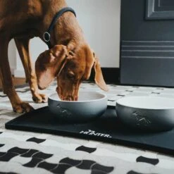 Hunter Napfunterlage Selection Schwarz 12 Hunter Napfunterlage Selection Schwarz -Wuff Wohnen Verkäufe 67429 003 live 20