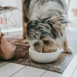 Hunter Keramik Napf Lund -Wuff Wohnen Verkäufe 67433 008 live 19 28329