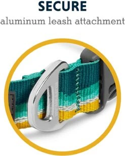 Ruffwear Crag Collar -Wuff Wohnen Verkäufe 71aLn5YVmvL. AC SL1500