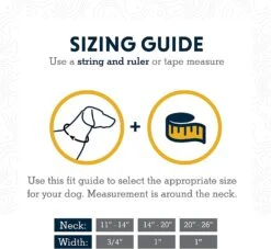 Ruffwear Crag Collar -Wuff Wohnen Verkäufe 71bmQl8jyNL. AC SL1500